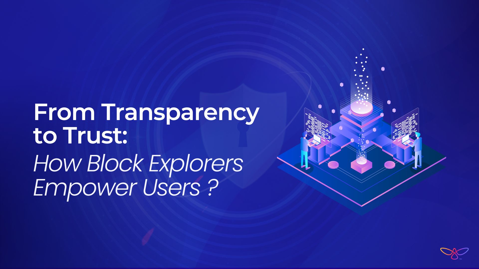 From Transparency to Trust: How Block Explorers Empower Users