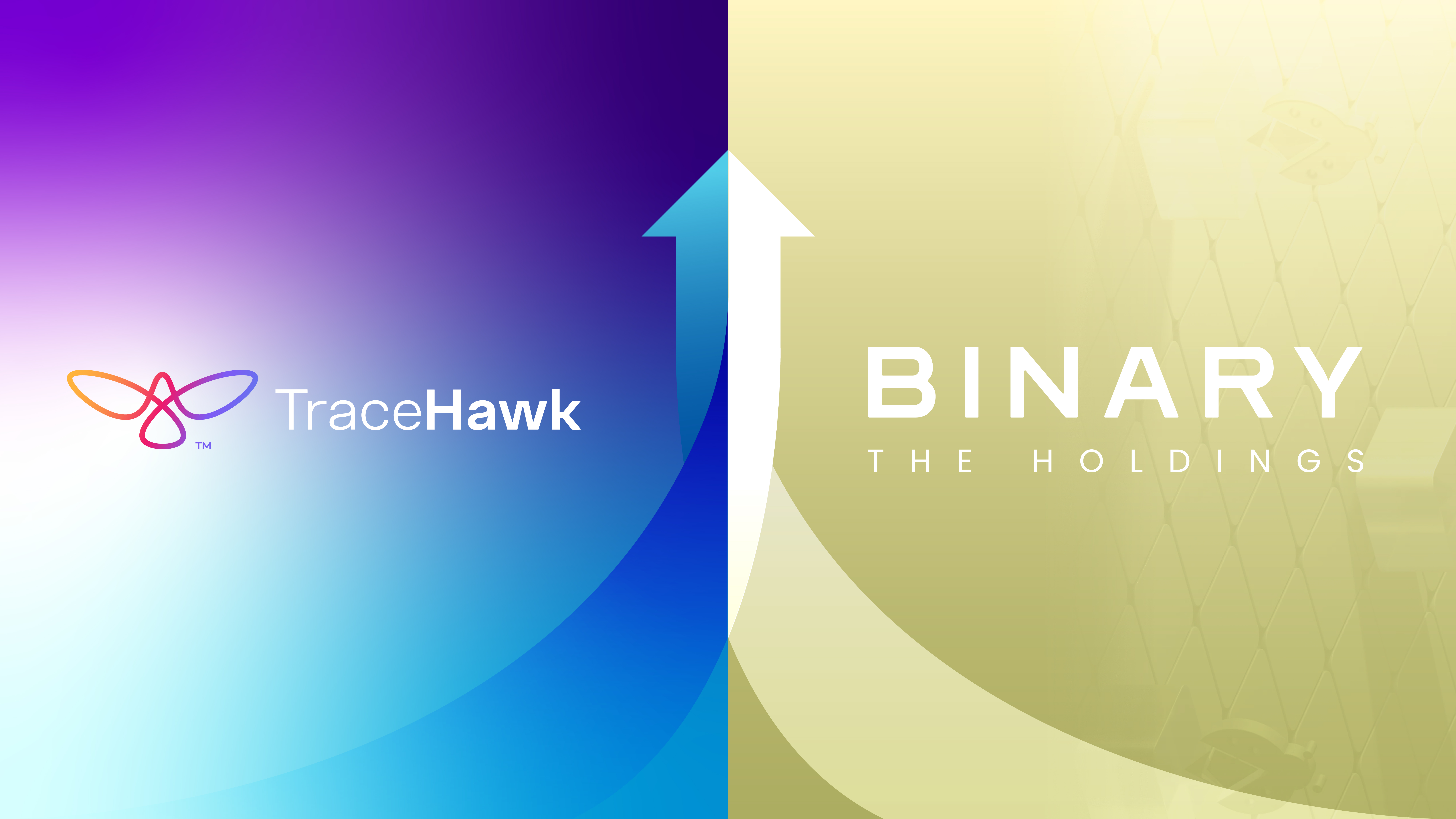 The Binary Holdings L2 Scales with TraceHawk Block Explorer