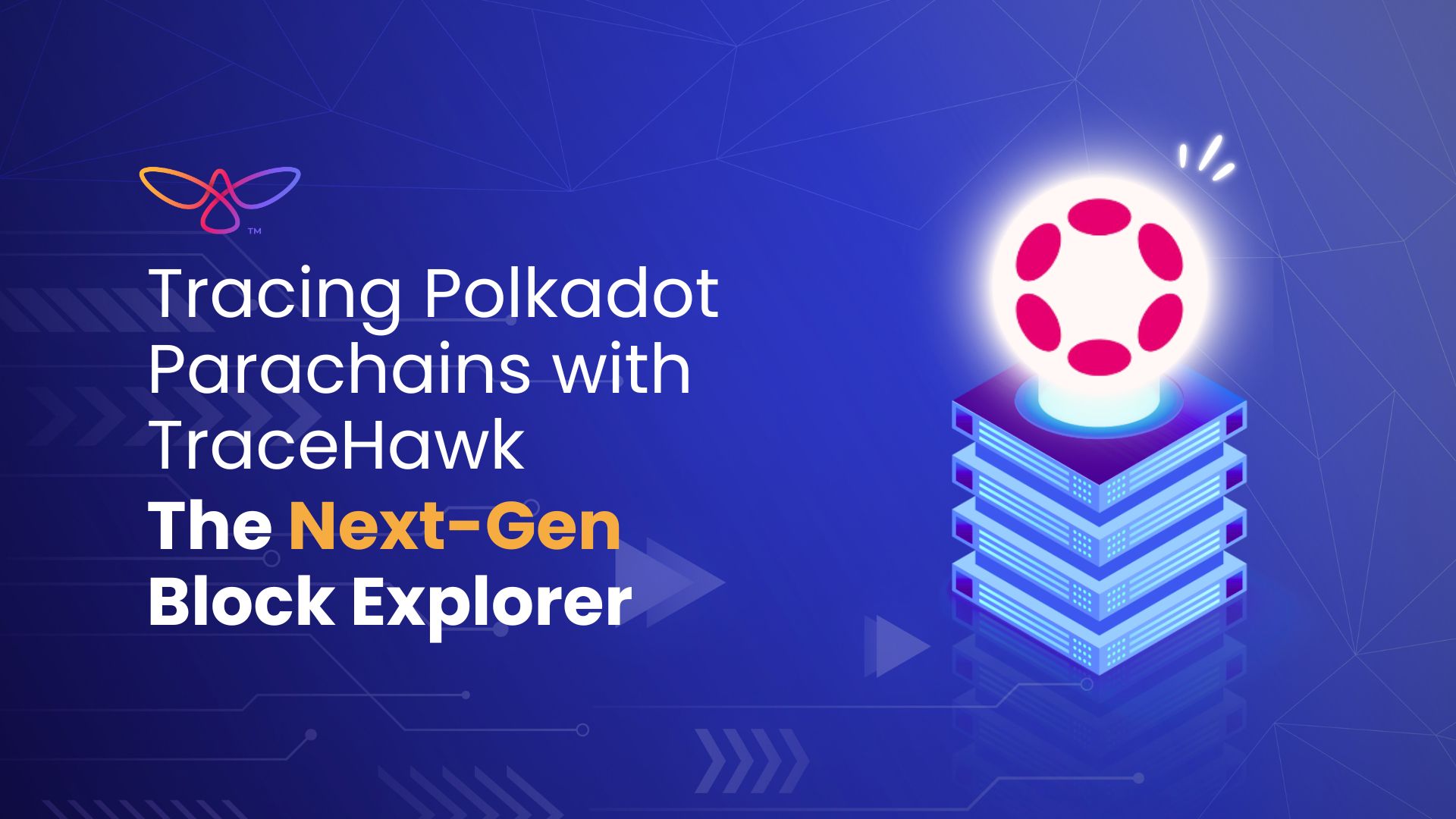 Tracing Polkadot Parachains with TraceHawk: The Next-Gen Block Explorer 